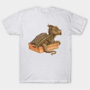 If it Fits I Sits T-Shirt